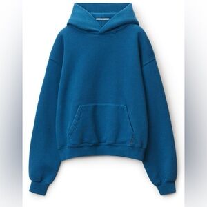 Alexander wang hoodie